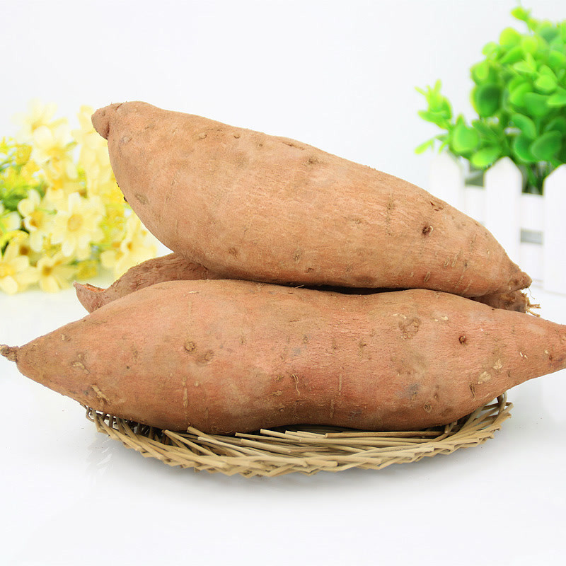 山东红薯5斤装 农家特产 红薯地瓜番薯