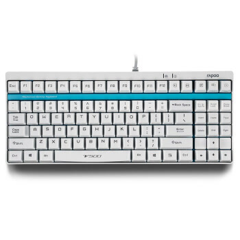 雷柏（Rapoo） V500 游戏机械键盘 游戏键盘 电脑键盘 笔记本键盘 白色 茶轴